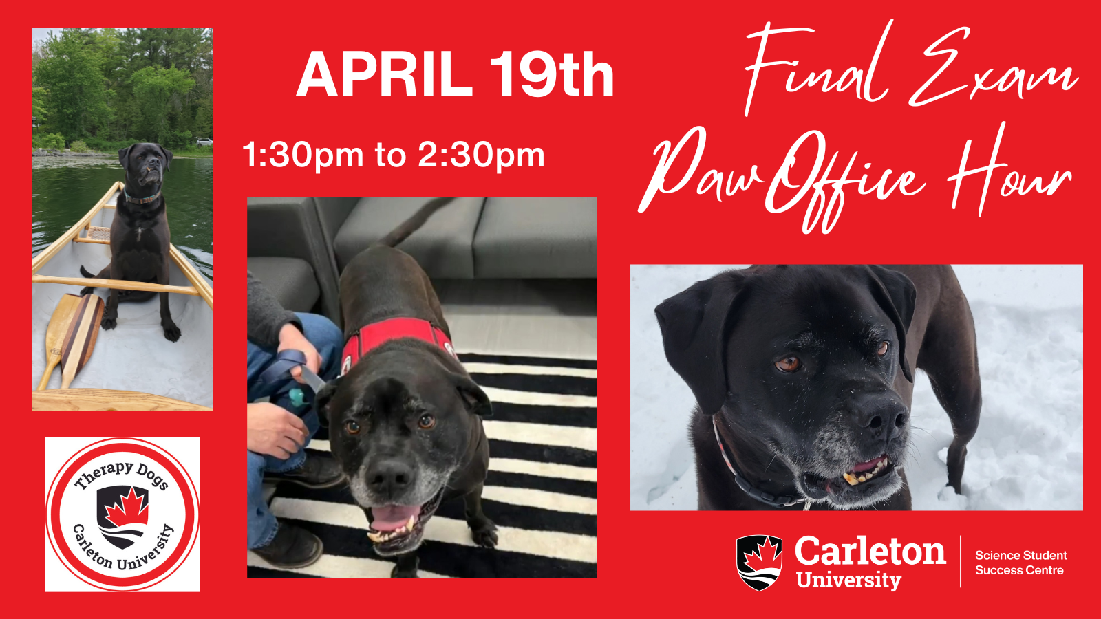 Poster with text. Red background. Title shown in cursive in the top right corner: Final Exam Paw Office Hour. Text reads: APRIL 19th 1:30pm to 2:30pm. Three panels of photos shown of Speedy, CUTherapy Dog. Therapy Dogs, Carleton University logo. Carleton University, Science Student Success Centre logo.